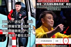 开云APP-波兰乒乓球队横扫德国乒乓球队，王皓关键制胜的简单介绍