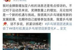 开云体育在线-日本乒乓球队险胜中国乒乓球队，奥恰洛夫打破历史纪录的简单介绍