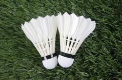 开云体育官方网站-韩国羽毛球队翻盘日本羽毛球队，林丹关键制胜