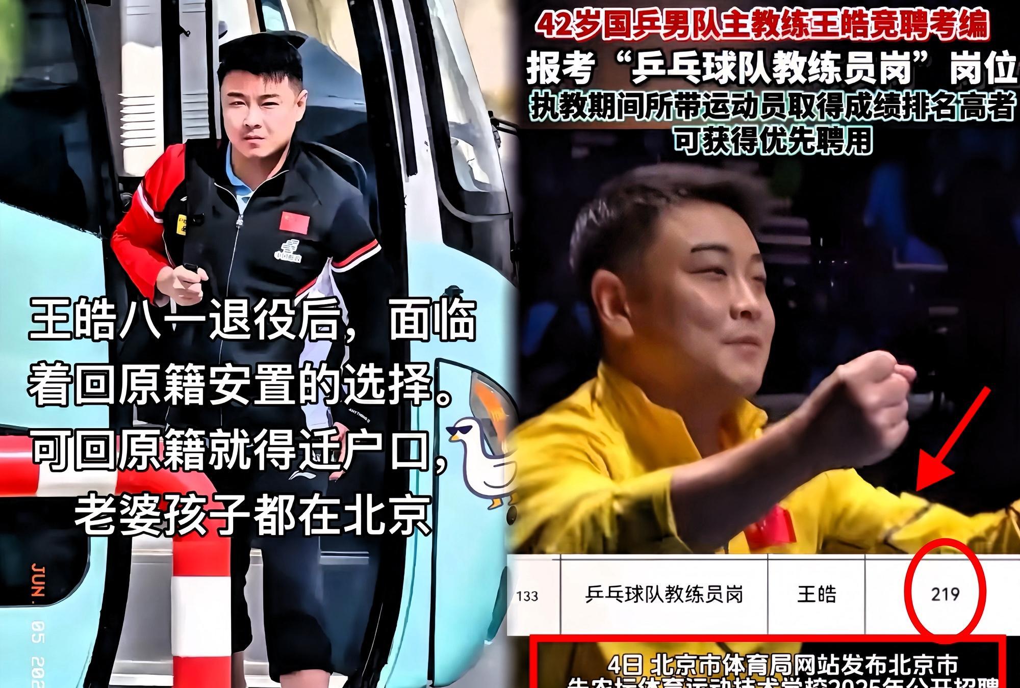 波兰乒乓球队横扫德国乒乓球队，王皓关键制胜的简单介绍